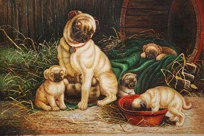 unknow artist Dogs 028 China oil painting art